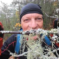 Some of my tower hiking partners. Sentinels Of The Forest 3 Photos North Bay News
