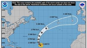 Image result for Tragia kirkiana