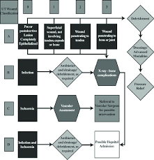 The Ut Wound Classification Flowchart Adapted From