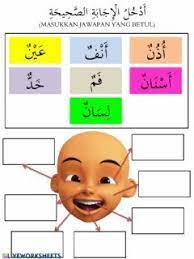 Kali ini kitpramenulis dot com berkongsi latihan warna dan surih nombor nombor 1 hingga 10 dalam bahasa arab. Ø£Ø¹Ø¶Ø§Ø¡ Ø§Ù„Ø¬Ø³Ù… Language Arabic Grade Level Tahun 2 School Subject Bahasa Arab Islamic Kids Activities Alphabet Activities Kindergarten Arabic Alphabet For Kids