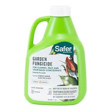 Per gallon of water (15 oz. Safer Garden Fungicide Concentrate 16 Oz Grow Organic