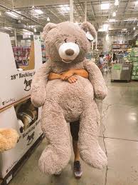 huge teddy bear | Huge teddy bears, Teddy bear gifts, Big teddy