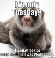 The beginning of the week confusion. 20 Tuesday Memes To Help Get You Through The Day Work Quotes Funny Fun Quotes Funny Work Humor