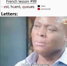 French In A Nutshell Funny French French Meme How To Speak French