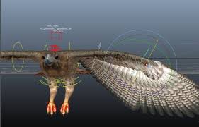 Eagle Rig Character Rigging Animation Zbrush
