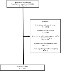 Maybe you would like to learn more about one of these? Impact Of Detecting Occult Pathologic Nodal Disease During Resection For Malignant Pleural Mesothelioma Clinical Lung Cancer