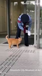 A Museum In Japan Spends Most Of Its Day Refusing Entry To 2 Cats Trying To Get In Bijutsu1 Https T Co Wk4m3y51hc Cute Animals Cute Cats Cute Funny Animals