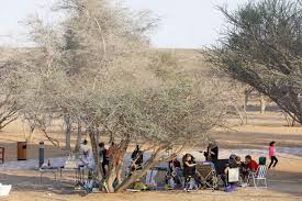 منتزه الحفية في كلباء يبدأ باستقبال الزوار Sharjah Investment And Development Authority Sharjah Investment And Development Authority