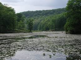 Lake hope state park is a public recreation area encompassing 2,983 acres within zaleski state forest, located five miles northeast of zales. Athens Area Outdoor Recreation Guide Lake Hope State Park