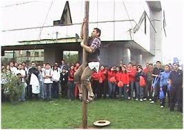 Juegos tradicionales realizados el 11 de octubre de 2009 con motivo de las fiestas patrolanes de la virgen del pilar en tres rios de la union en cartago. Como Se Juega El Famoso Palo Encebado En Venezuela Steemit