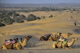 Kelly S Classroom Online Raja S Pet Camel The Magic Of Hope By Anita Nahta Amin