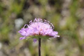 Crook county has an unemployment rate of 3.6%. Wyoming Weed Pest Council Home Facebook