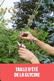 Epingle Sur Les Bons Gestes Du Jardinier