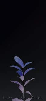 Iphone Wallpapers Ios Setups Diseno Grafico Aplicado A Ux Moviles Y Pantallas Download and share awesome cool background hd mobile phone wallpapers. iphone wallpapers ios setups diseno