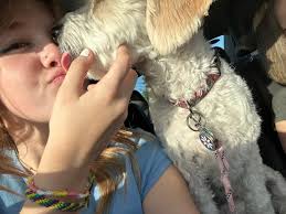 avery.kiser (@avery.kiser)