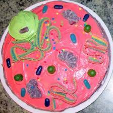 Maybe you would like to learn more about one of these? Pin 3d Animal Cell Model Cake Cake On Pinterest Animal Cells Model Animal Cell Animal Cell Project