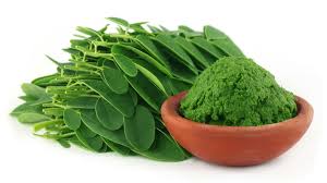Image result for Moringa