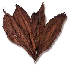 100% natural dried tobacco leaf. What Is Fire Cured Tobacco Total Leaf Supply