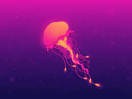 Jellyfish Jellyfish Design Jellyfish Art Fish Graphic