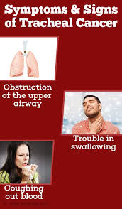 Smoking tobacco and drinking alcohol are the main risk factors for laryngeal cancer. Tracheal Cancer Cancer Of The Windpipe Causes Symptoms Diagnosis And Treatment