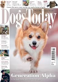 Maybe you would like to learn more about one of these? Dogs Today Magazine September 2021 Subscriptions Pocketmags