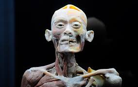 Fotos: Así se ve el interior de un volcán