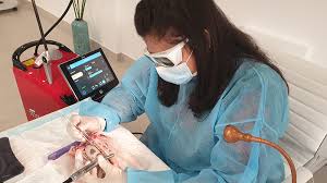 The fundamentals of laser technology. Mastership Programme Lasers In Dentistry Cappmea