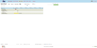 Workzone Project Management Simplicity With Some Rough