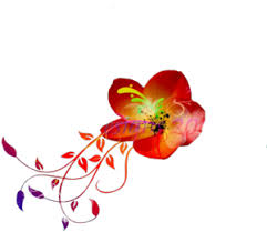 Download Hawaiian Flowers Png Images Vectors And Psd Files Free Hawaii Full Size Png Image Pngkit Seeking for free hawaiian flowers png images? pngkit