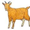 Drawing and coloring activities is fun past time for kids of all ages also to enjoy. 1