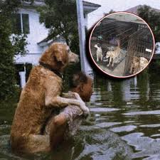 A homeless man who had nothing still found 30 lives worth ...