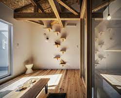 Man turns his house into indoor cat playland and our hearts explode. 10 Tips For Keeping Indoor Cats Healthy And Happy