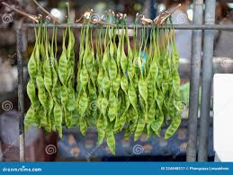 Image result for Crudia