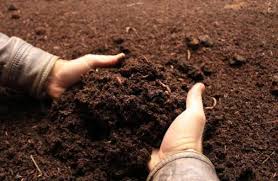 Bakınız abiler hevesinizi kırmak istemeyiz. Para Kazandiracak Is Fikirleri