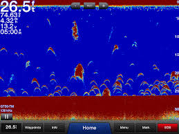 Focus first on the digital readings that appear on the screen. A Complete Guide On How To Read A Garmin Fishfinder