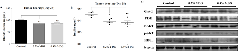 Rate, like, and subscribe follow our twitter: Chronic Dietary Administration Of The Glycolytic Inhibitor 2 Deoxy D Glucose 2 Dg Inhibits The Growth Of Implanted Ehrlich S Ascites Tumor In Mice