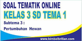 We did not find results for: Soal Tematik Kelas 3 Sd Tema 1 Subtema 3 Pertumbuhan Hewan Dan Kunci Jawaban Bimbel Brilian