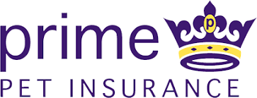 Compare over 150 pet insurance policies from over 20 insurers. Compare Pet Insurance Side By Side From 24 Pet Insurers