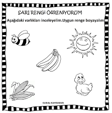 Okul Oncesi Sari Renk Renkler Egitim Okul Oncesi