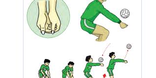 We did not find results for: Passing Bawah Dalam Permainan Bola Voli Halaman All Kompas Com