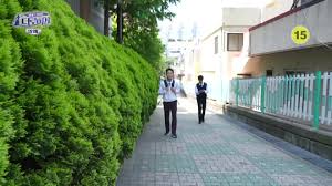 부산경남대표방송 KNN 법대로 합시다! 더로이어