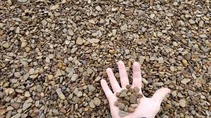 We did not find results for: Natural Landscaping Services Of Northwest Arkansas Facebook