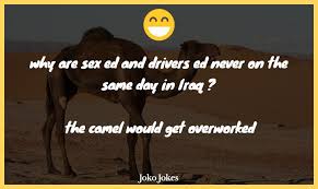 11 thoughts on what do you call a three humped camel? hio. 80 Camel Jokes That Will Make You Laugh Out Loud