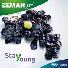 Zma powder is the special form of zinc bounded with magnesium and vitamin b6 in order to improve absorption of zinc into our body. Zeman Sx Home Facebook