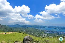 大棠山道有食肆、園藝公司，行 15 分鐘到達大欖郊野公園（tai lam country park）。 沿地圖展示板左邊石級上行去燒烤場地／楓香林，上面有大草地等緊你。 éƒŠé‡Žæ¨‚è¡Œ é¦¬éžå±±éƒŠéŠå¾'