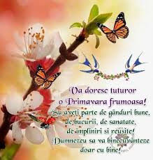 Слова песни primăvara va veni sofia rotaru. 900 PrimÄƒvarÄƒ Ideas In 2021 PrimÄƒvarÄƒ Flori Plantare De Flori