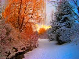 Stimmungsvolle landschaften, sanft eingehüllte äste, blätter und. 35 Schone Winter Hintergrundbilder Fur Desktop Co