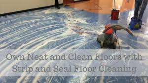 Own Neat And Clean Floors With Strip And Seal Floor Cleaning Floor Cleaner Sealant Cleaning