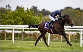 The derby festival 2021 takes place on friday 4 and saturday 5 june. Epsom Derby Runners And Riders Plus Antepost Tips