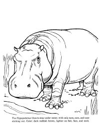 Printable animal coloring pages, coloring sheets and pictures of animals for kids. Animal Drawings Coloring Pages Hippopotamus Animal Identification Drawing And Coloring P Animal Line Drawings Zoo Animal Coloring Pages Animal Coloring Pages